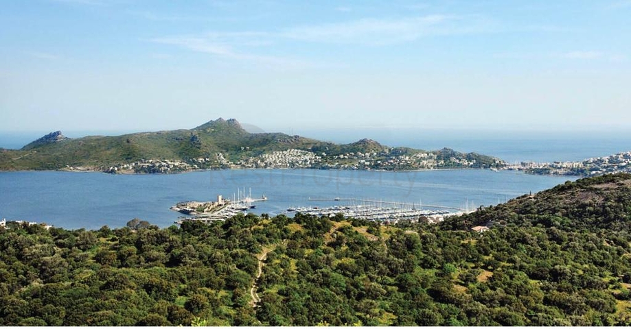 Sale of villas on the elite Yalikavak hill opens