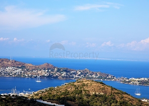 Sale of villas on the elite Yalikavak hill opens