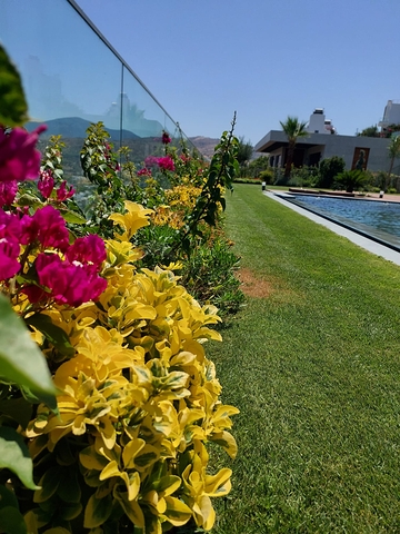 Paradise villas in Bodrum with hotel services.