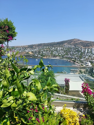 Paradise villas in Bodrum with hotel services.