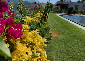 Paradise villas in Bodrum with hotel services.