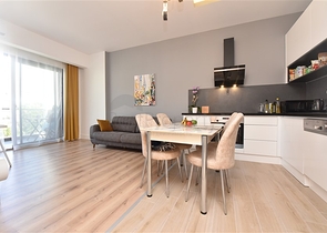 Cozy one-bedroom apartment of premium segment in Cleopatra district