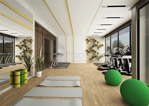 Investment project in the upper Oba area