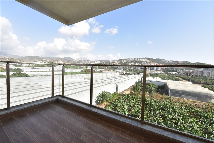 Spacious five-room penthouse