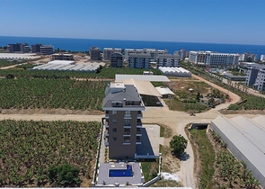 Spacious five-room penthouse