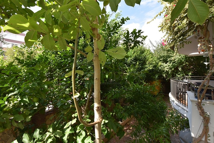 3+1 apartment with separate kitchen in the center of Alanya