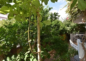 3+1 apartment with separate kitchen in the center of Alanya