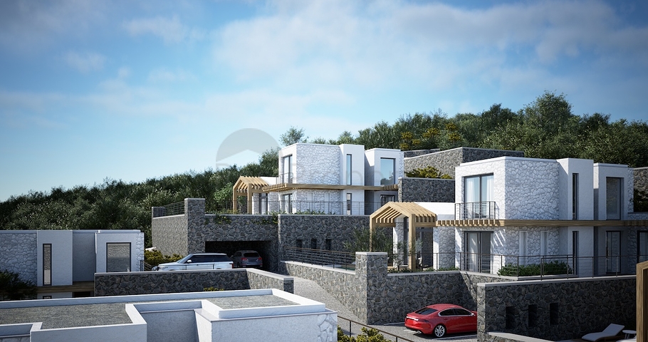 Detached villas with unique architecture in the Gyumyushlyuk area