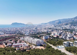 A new project in the Oba area