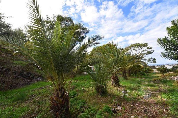 Luxury house with private pool and garden in Demirtas district