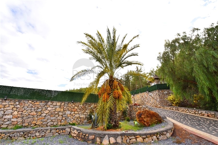 Luxury house with private pool and garden in Demirtas district