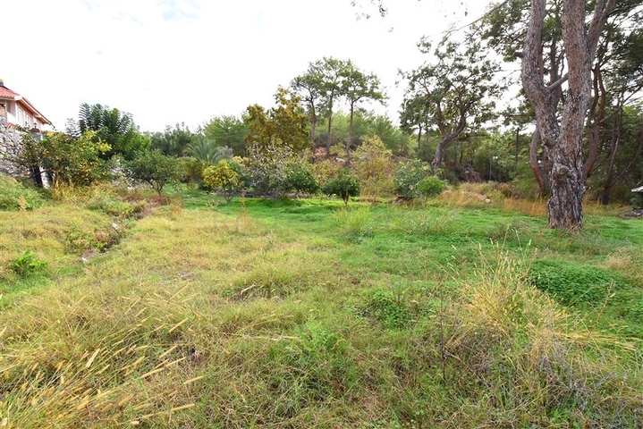 Luxury house with private pool and garden in Demirtas district