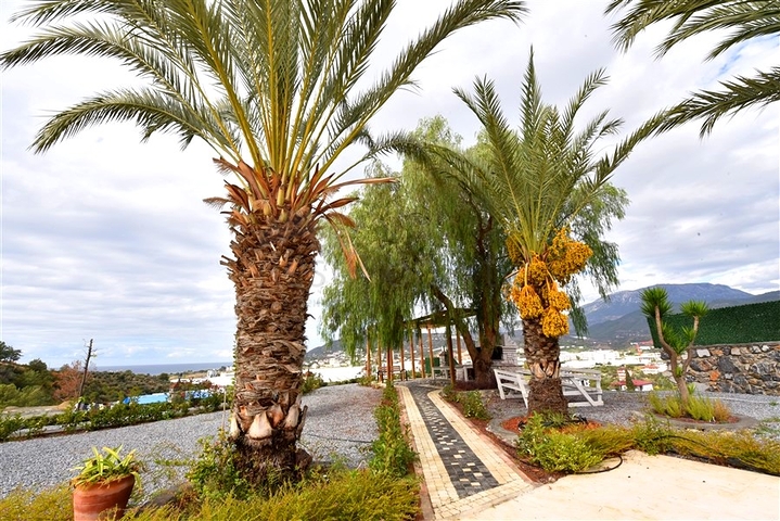 Luxury house with private pool and garden in Demirtas district