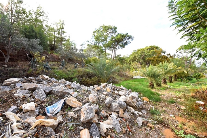 Luxury house with private pool and garden in Demirtas district