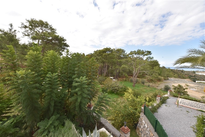 Luxury house with private pool and garden in Demirtas district