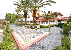 Luxury house with private pool and garden in Demirtas district