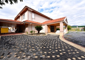 Luxury house with private pool and garden in Demirtas district