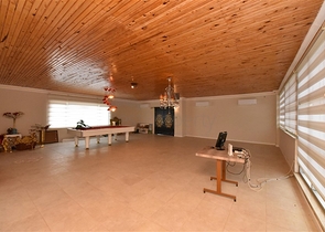 Luxury house with private pool and garden in Demirtas district