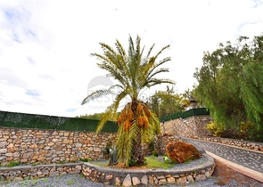 Luxury house with private pool and garden in Demirtas district