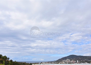 Luxury house with private pool and garden in Demirtas district