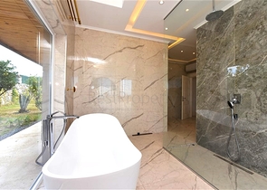 Luxury house with private pool and garden in Demirtas district