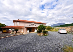 Luxury house with private pool and garden in Demirtas district