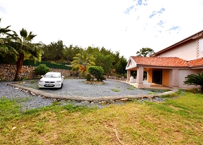 Luxury house with private pool and garden in Demirtas district