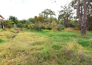 Luxury house with private pool and garden in Demirtas district