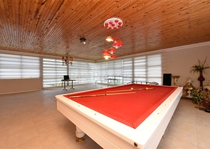 Luxury house with private pool and garden in Demirtas district