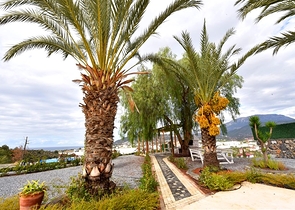 Luxury house with private pool and garden in Demirtas district