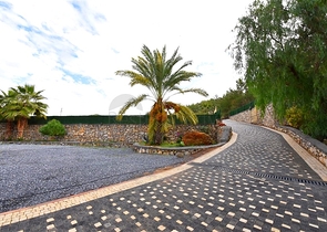 Luxury house with private pool and garden in Demirtas district