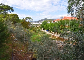 Luxury house with private pool and garden in Demirtas district