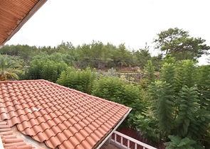 Luxury house with private pool and garden in Demirtas district