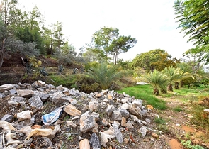 Luxury house with private pool and garden in Demirtas district