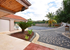 Luxury house with private pool and garden in Demirtas district