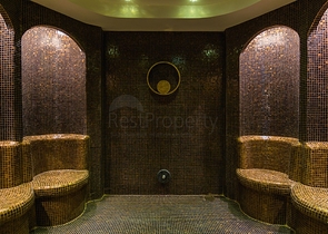 One-bedroom apartment in a premium class complex