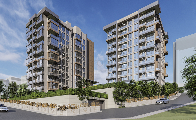 A family concept project with a unique view of the forest