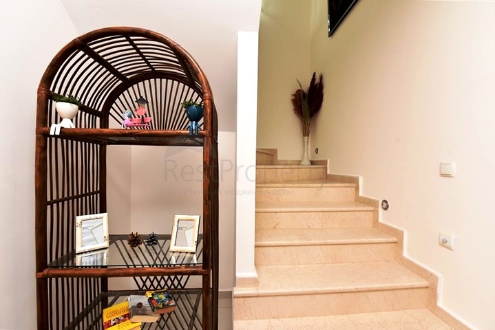 2+1 penthouse on Cleopatra