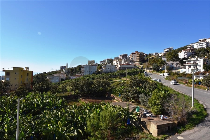 2+1 penthouse on Cleopatra