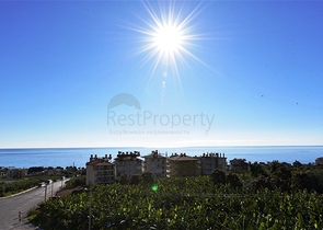 2+1 penthouse on Cleopatra