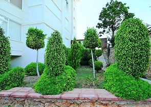 Penthouse with panoramic sea view in Tosmur area