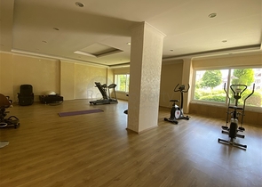 Penthouse with panoramic sea view in Tosmur area