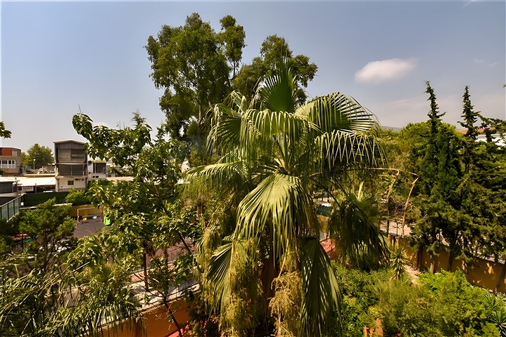 Furnished 2+1 apartment in a complex on the first coastline in the center of Alanya