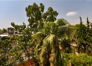 Furnished 2+1 apartment in a complex on the first coastline in the center of Alanya