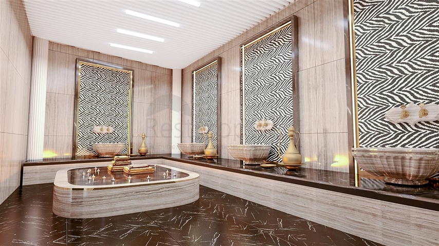 Investment project in Kestel district