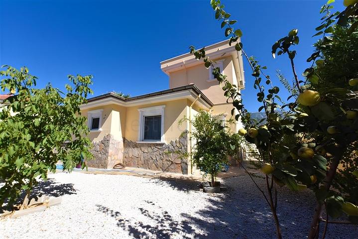 Three-bedroom villa with elegant renovation