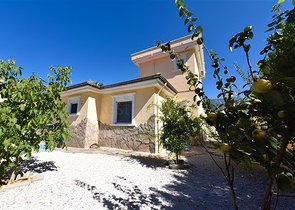 Three-bedroom villa with elegant renovation