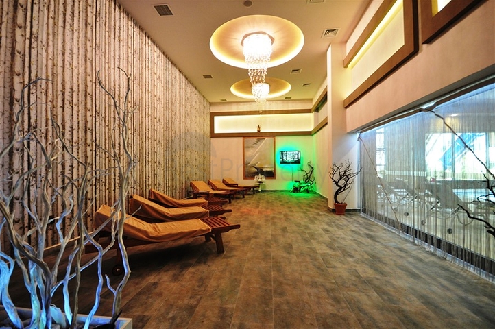 Two-room apartment 50 meters from the sea