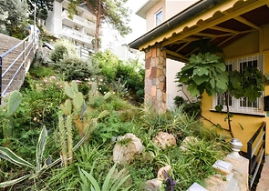 3+1 apartment with separate kitchen at the foot of the Alanya Fortress