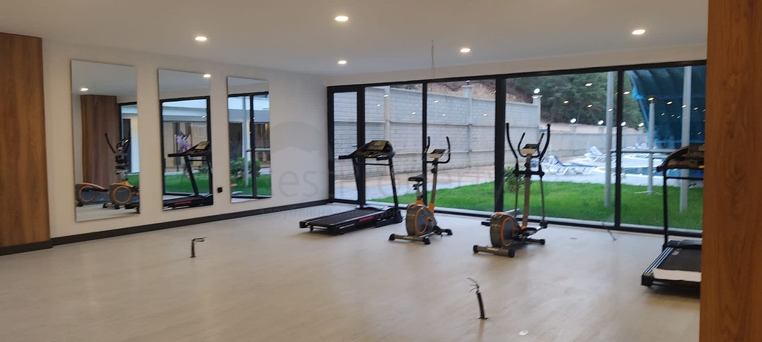 Apartment 1+1 in the middle of a coniferous grove